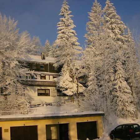 Pension Stiegelmeier Winterberg Exterior foto